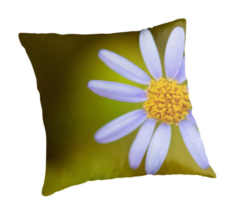 IanThompson-Photography, Throw Pillows, IanThompson-Photography Throw Pillows, Ian Thompson Photography Throw Pillows,  ITPhotography, IT Photography, IT-Photography, Ian Thompson Photography, Ian Thompson Photographer, Ian Thompson, IanThompson-Photography Surrey, Ian Thompson Photography Surrey, Ian Thompson Photographer Surrey, Ian Thompson Surrey, Shop, Shop  Photography, Shop Photographer, Shop Photography Surrey, Shop Photographer Surrey, Ian Thompson Shop Photographer, Ian Thompson Shop Photography, Ian Thompson Shop Photographer Surrey, Ian Thompson Shop Photography Surrey,