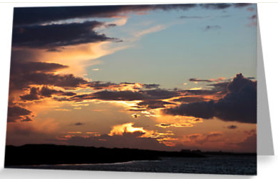 IanThompson-Photography, Greetings Cards and Postcards, IanThompson-Photography Greetings Cards and Postcards, Ian Thompson Photography Greetings Cards and Postcards, IanThompson-Photography Greetings Cards, Ian Thompson Photography Greetings Cards, IanThompson-Photography Postcards, Ian Thompson Photography Postcards, ITPhotography, IT Photography, IT-Photography, Ian Thompson Photography, Ian Thompson Photographer, Ian Thompson, IanThompson-Photography Surrey, Ian Thompson Photography Surrey, Ian Thompson Photographer Surrey, Ian Thompson Surrey, Shop, Shop  Photography, Shop Photographer, Shop Photography Surrey, Shop Photographer Surrey, Ian Thompson Shop Photographer, Ian Thompson Shop Photography, Ian Thompson Shop Photographer Surrey, Ian Thompson Shop Photography Surrey,