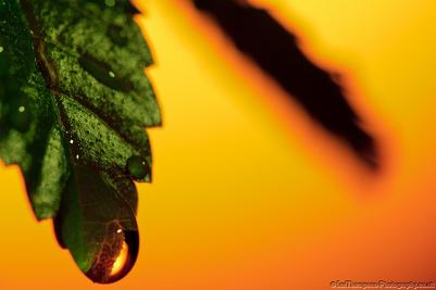 Ian Thompson Fine Art Photography Surrey